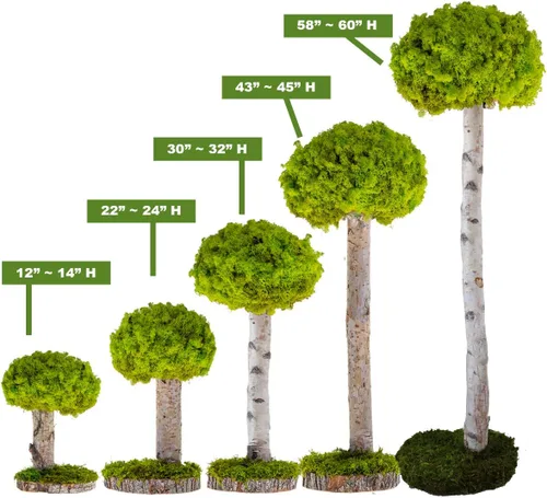 Vista 7 de Plantas reales sin riego, diseño artístico de musgo preservado y decoración, arreglo de plantas verdes naturales para interiores para el hogar