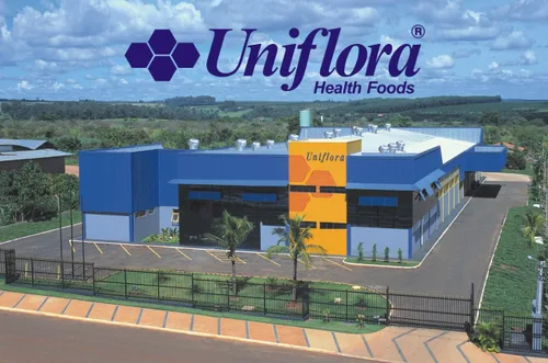 Vista 4 de Uniflora Propóleos de abeja verde brasileña – 60 Brix – Extracto líquido sin alcohol – Botellas de 1.0 fl oz (paquete de 6)