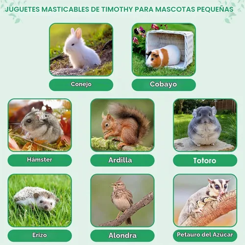 Vista 5 de ERKOON 106 PIEZAS Juguetes Masticables de Conejo para Dientes de Conejos, Juguetes Naturales para Conejos Palitos de Madera de Manzano, Zanahoria