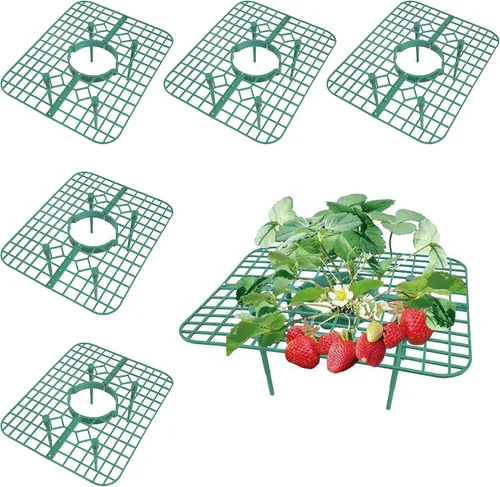 Vista 7 de SooGree Paquete de 5 soportes de fresa, soportes de fresa para jardín, jaula de plantas de frutas, bandeja de plástico para mantener las fresas