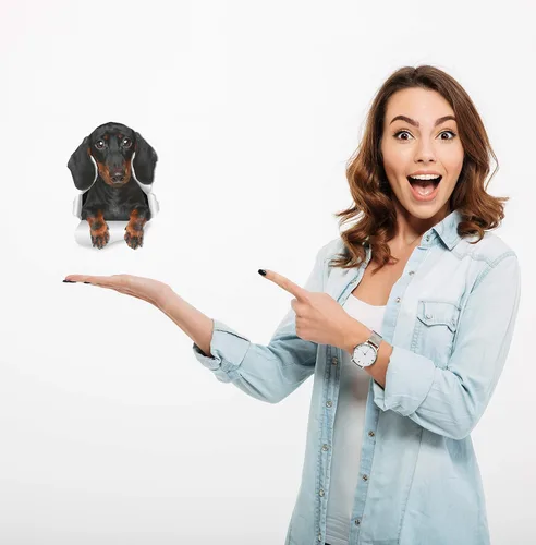 Vista 2 de Winston & Bear Calcomanías de pared de perro salchicha lindo – Paquete de 2 – Adhesivo para inodoro de perro salchicha