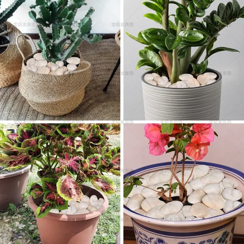 Vista 3 de 10 libras de rocas de río blancas y crema para paisajismo al aire libre – Guijarros pulidos para plantas – Piedras decorativas de jardín – Rocas