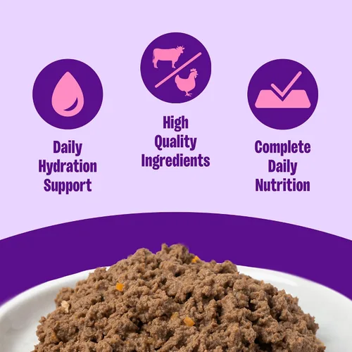 Vista 2 de Wellness Complete Health - Alimento húmedo en paté para gatos adultos, natural, rico en proteínas, sin granos, 12.5 onzas, paquete de 12