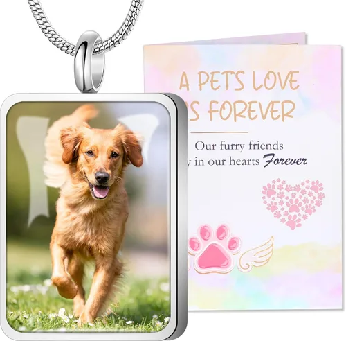 Vista 12 de Fanery Sue Collar para cenizas de mascotas, joyería de cremación, imagen personalizada y cita, regalos conmemorativos por pérdida de perro/gato