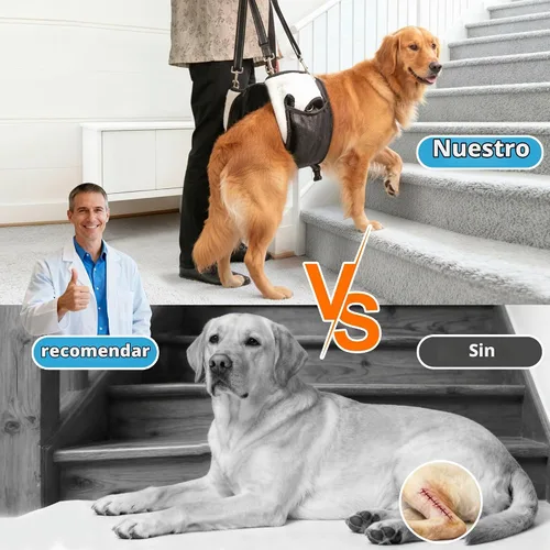 Vista 2 de Arnés doble uso para perro SyFatWeen con soporte para las patas traseras y cadera, cabestrillo canino para elevación de perro, ajustable y suave