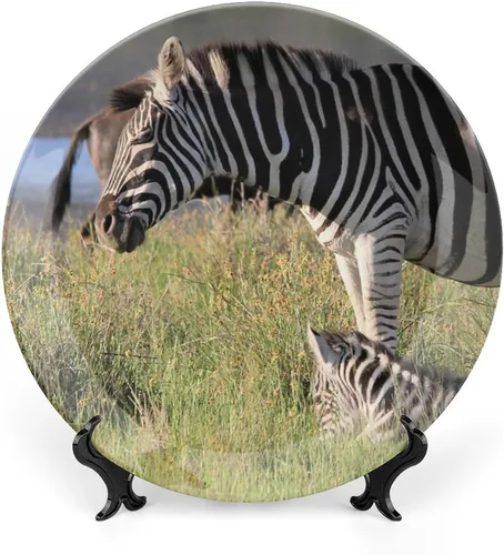 Vista 9 de Plato decorativo de animales silvestres de África para cocina, recuerdo de cerámica para colgar en la pared con soporte de exhibición, decoración