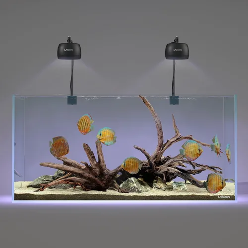 Vista 2 de LANDEN Kueiyang Hornwood para acuascaping, decoración de madera flotante de acuario, ramas naturales (12-14 pulgadas, 30-35cm), 4