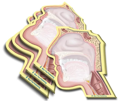 Vista 29 de Notas Adhesivas de Anatomía
