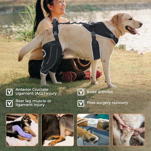 Vista 3 de Rodillera de ACL para perro para pierna desgarrada del ACL, soporte de ACL para piernas traseras de perros, soporte de pierna trasera de perro