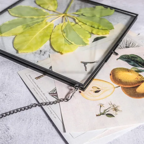 Vista 5 de NCYP Marco flotante de vidrio colgante para flores secas prensadas, fotos, imágenes, especímenes de plantas pequeñas, 8 x 8 pulgadas, negro