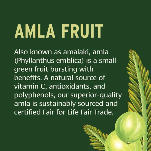 Vista 5 de Banyan Botanicals Tabletas orgánicas de Amla – Vitamina C natural para apoyo de colágeno y salud inmunológica – Grosella espinosa india Amalaki