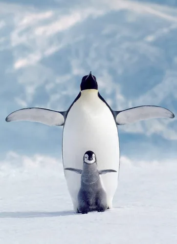 Vista 2 de Eurographics Rompecabezas de 1000 piezas de pingüino y pollito