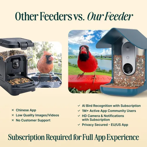 Vista 3 de Birdbuddy PRO Comedero Inteligente para Aves sin Energía Solar con Cámara - Identificación de Especies de Aves por IA, Fotos de 5MP, Cámara