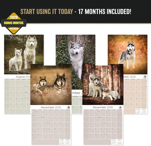 Vista 3 de Razas de Perros 2017 SIBERIAN HUSKY