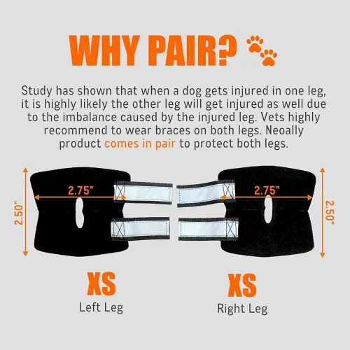 Vista 7 de Dog Knee Brace for ACL, Arthritis & Injury - 2 Pack Adjustable Dog Leg Support Wrap with Reflective Strips, Breathable & Elastic Dog Knee Pads for