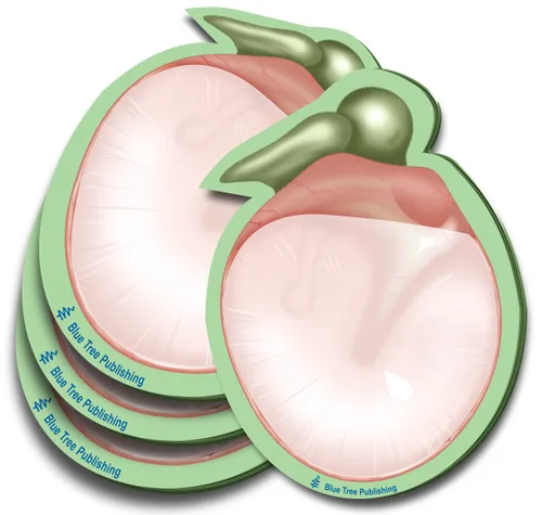 Vista 22 de Notas Adhesivas de Anatomía
