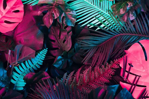 Vista 2 de Reyhui - Papel tapiz tropical de hojas de plátano, mural de pared de hoja de plátano, papel tapiz para pared de planta colorida, mural de pared