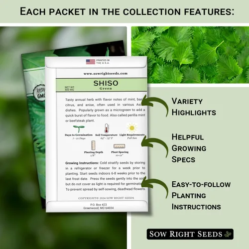 Vista 2 de Sow Right Seeds - Colección de semillas Shiso para plantar - Incluye verde y morado - Variedades tradicionales sin OMG - Hojas de perilla japonesas
