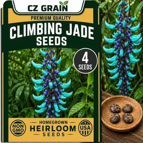 Vista 3 de CZ Grain Semillas para plantar, 40 pequeñas mezclas de calabaza
