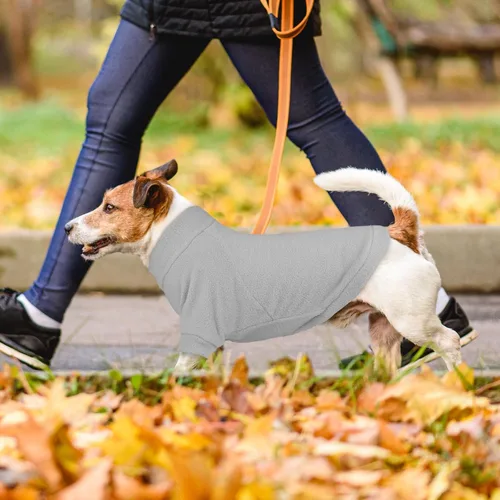 Vista 2 de Pack de 3 suéteres para perros de felpa, ropa para mascotas, cuello alto, suéter suave y cálido para perros pequeños, suéter para cachorros