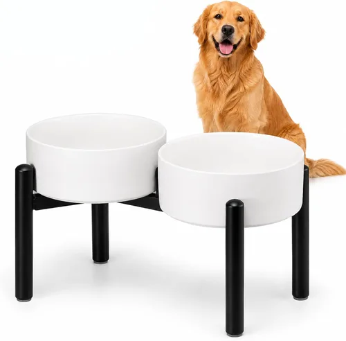 Vista 27 de Juego de cuencos elevados de cerámica para perros con soporte, 2 tazas de Negro