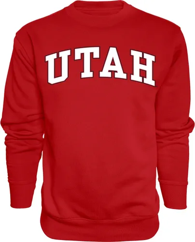 Vista 8 de Blue 84 NCAA sudadera de cuello redondo con arco y colores de equipo para hombre