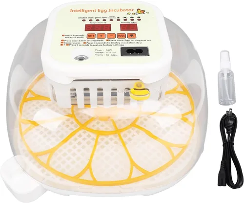Vista 6 de Incubadora automática de 12 huevos con control de humedad con girador de huevos, incubadora ventilada para eclosionar huevos de pollo y codorniz, US