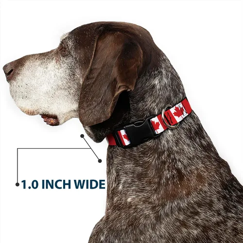 Vista 6 de Buckle-Down PC-W30367-S - Collar de clip de plástico para banderas de Canadá, pequeño/9-15