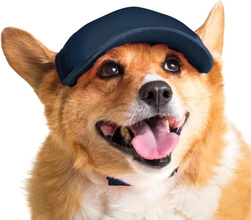 Vista 8 de DIY PupLid Trucker Hats (negro/blanco, XXS) - Sombrero de perro personalizable, lona en blanco para diseño personalizado, ajustable, protección