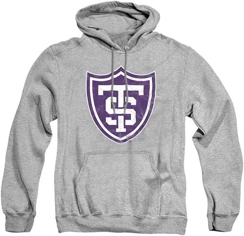 Vista 113 de Distressed College Primary Logo Adult Pullover Hoodie Collection 1 Universidad Estatal de Albany