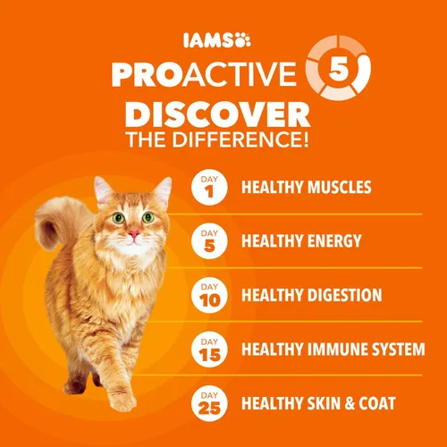 Vista 6 de Comida seca IAMS Proactive Health para gatos adultos con cuidado de bolas de pelo con pollo y salmón, bolsa de 3.5 lb Veterinarian-recommended