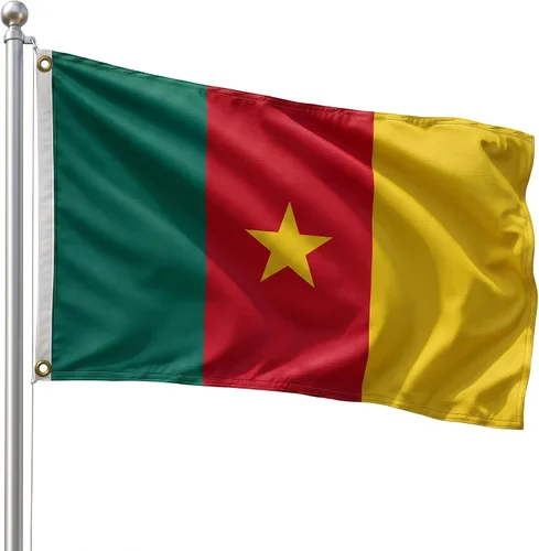 Vista 56 de DMSE - Bandera nacional beninesa beninesa de la República de África Occidental, 2 x 3 pies, 100 % poliéster, 100 % poliéster, resistente a los rayos