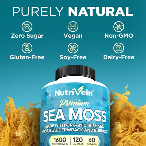 Vista 6 de Nutrivein Musgo marino orgánico de 1600 mg más vejiga y bardana – 120 cápsulas para adultos – Superalimento prebiótico – Sistema inmunológico