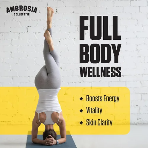 Vista 3 de Ambrosia Superfood Polvo de apoyo para órganos y ciclos Soporte hepático y renal con cardo mariano, arroz de levadura roja y CoQ10 13