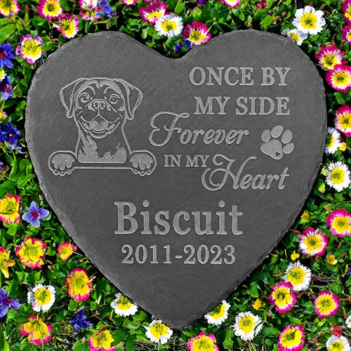 Vista 22 de Regalos conmemorativos de American Staffordshire Terrier, piedra de terrier estadounidense de Staffordshire, regalos de pérdida de American