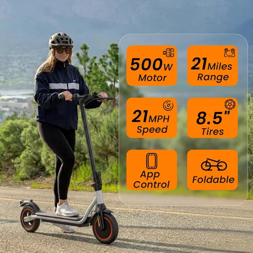 Vista 15 de Electric Scooter, 500W-1200W Peak Motor, 21-28 Mile, 8.5"-10" Tire