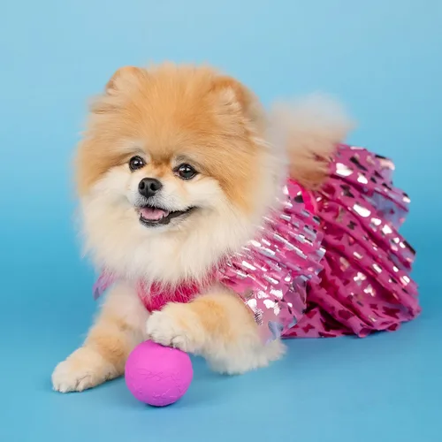 Vista 4 de Doggy Parton Conjunto de falda de suéter con volantes para perros - XS