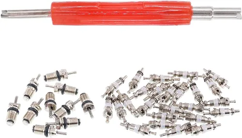 Vista 4 de Glarks 36 piezas de aire acondicionado de coche núcleo de válvula Schrader núcleos accesorios A/C R12 R134a válvula de neumático de refrigeración