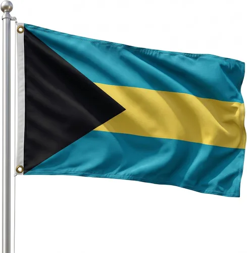 Vista 16 de DMSE - Bandera nacional beninesa beninesa de la República de África Occidental, 2 x 3 pies, 100 % poliéster, 100 % poliéster, resistente a los rayos