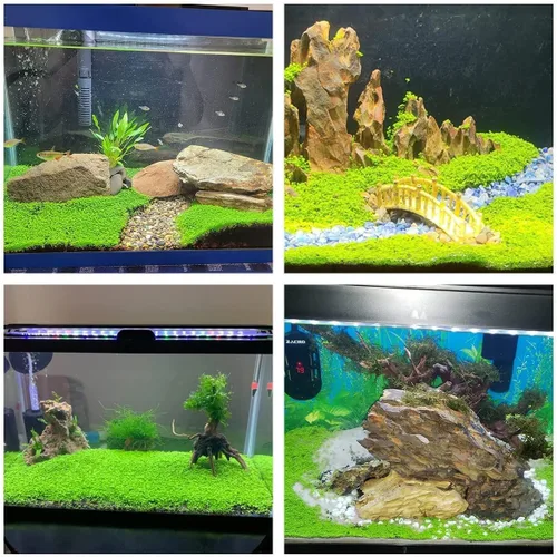 Vista 4 de Aquarium P.l.a.n.t para pecera, no plástico artificial P.l.a.n.t, paquete de 2, 0.7 onzas