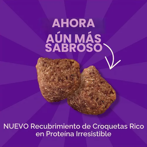 Vista 2 de Wellness CORE Alimento seco para perros, sin granos, alta proteína, natural, receta de pescado blanco del océano, arenque y salmón