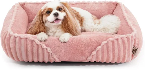 Vista 18 de EHEYCIGA Linda cama para perro de tamaño mediano, cama para mascotas de 30 Crema