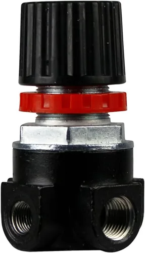 Vista 6 de FC319205000 Rolair Regulador del compresor de aire G 1/4