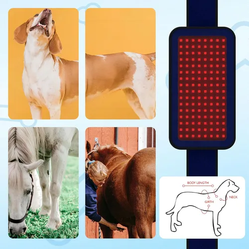 Vista 5 de Cinturón de terapia de luz infrarroja roja para aliviar el dolor de mascotas, dispositivo portátil de terapia con láser frío para reparación