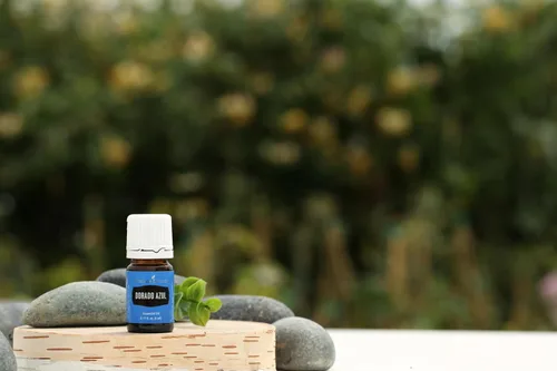Vista 5 de Dorado Azul de 0.2 fl oz por Young Living - 100% puro y de grado premium - Aceite esencial calmante para la piel - Aromaterapia con infusión