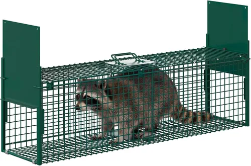 Vista 9 de Jaula de trampa para animales vivos de doble puerta, plegable, de acero resistente, fácil de instalar y liberar, gatillo sensible, asa