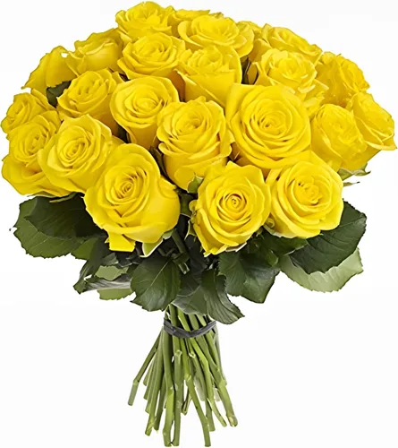 Vista 11 de Greenchoice Flowers - Rosas Rosa encendido