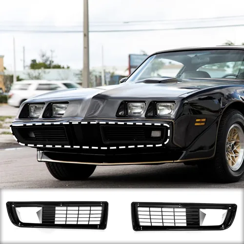 Vista 7 de AMSRPAC - Cubierta de rejilla de parachoques delantero, repuesto para parrilla de parachoques inferior compatible con Pontiac Firebird Trans Am 1979