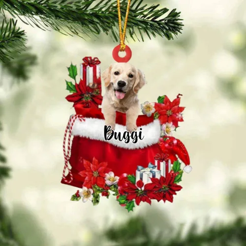 Vista 175 de Perro Akita Inu personalizado en bolsa de regalo, adorno de Navidad, nombre personalizado, regalo para amantes de los perros, familia, Navidad