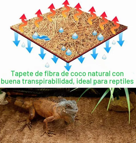 Vista 6 de MIOHNAN Forro de fibra de coco natural en rollo, almohadilla de fibra de coco, tapete de cáscara de coco para macetas y cestas, poste de musgo DIY